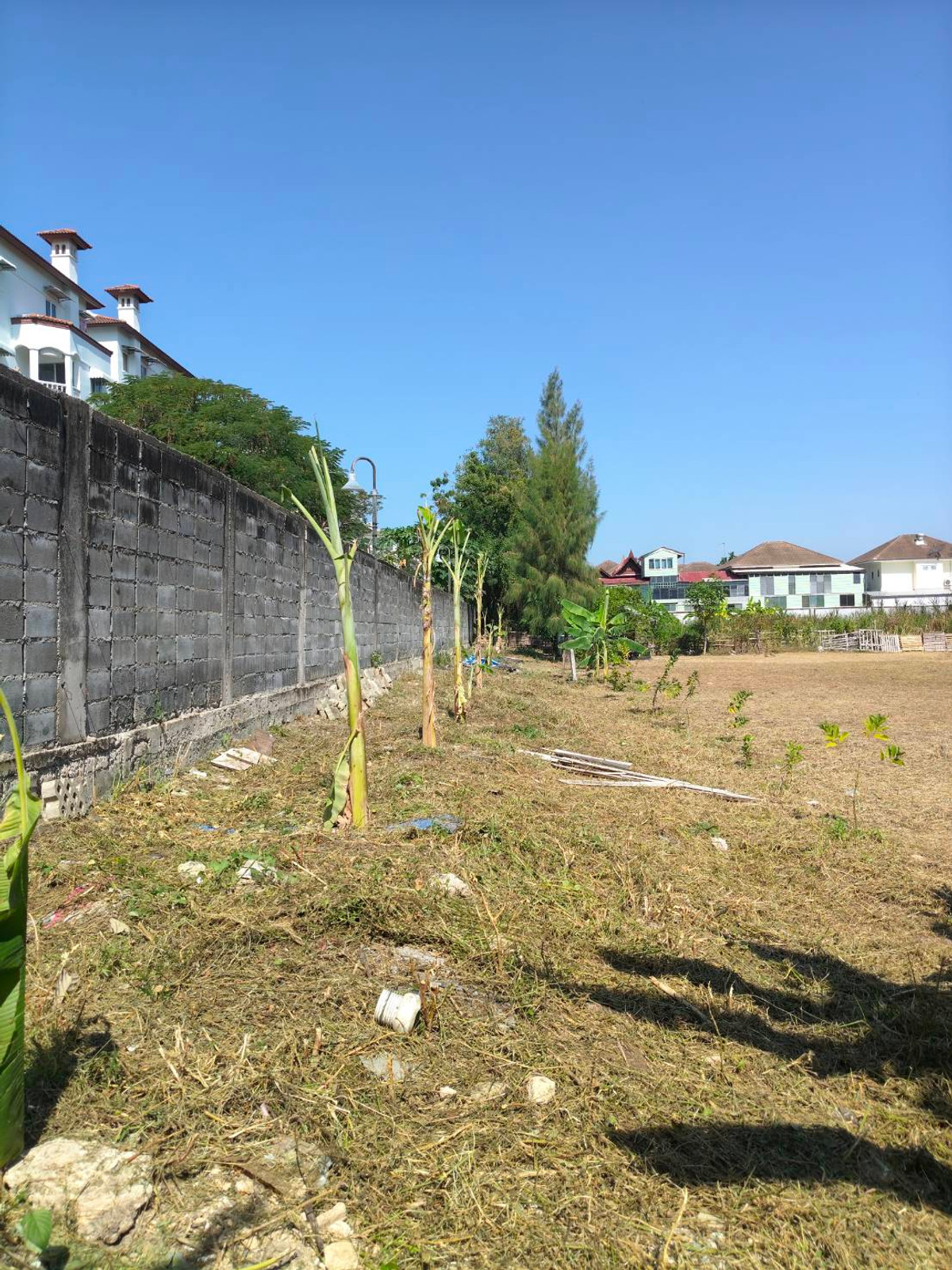 ที่ดินถนนชัยพฤกษ์ 3 / (ขาย), Land Chaiyaphruek 3 Road / (FOR SALE) AM002