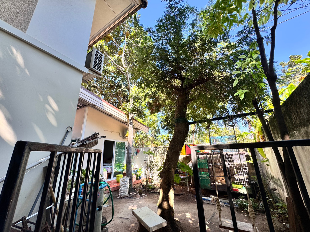 บ้านเดี่ยว บ้านสวนบางพระ / 3 ห้องนอน (ขาย), Baan Suan Bang Phra / Detached House 3 Bedrooms (FOR SALE) YEAN069