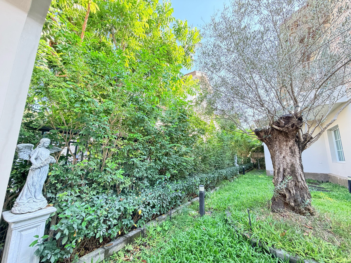 นันทวัน รามอินทรา - พหลโยธิน 50 / 4 ห้องนอน (ขาย), Nantawan Ramintra - Paholyothin 50 / 4 Bedrooms (FOR SALE) TAN880