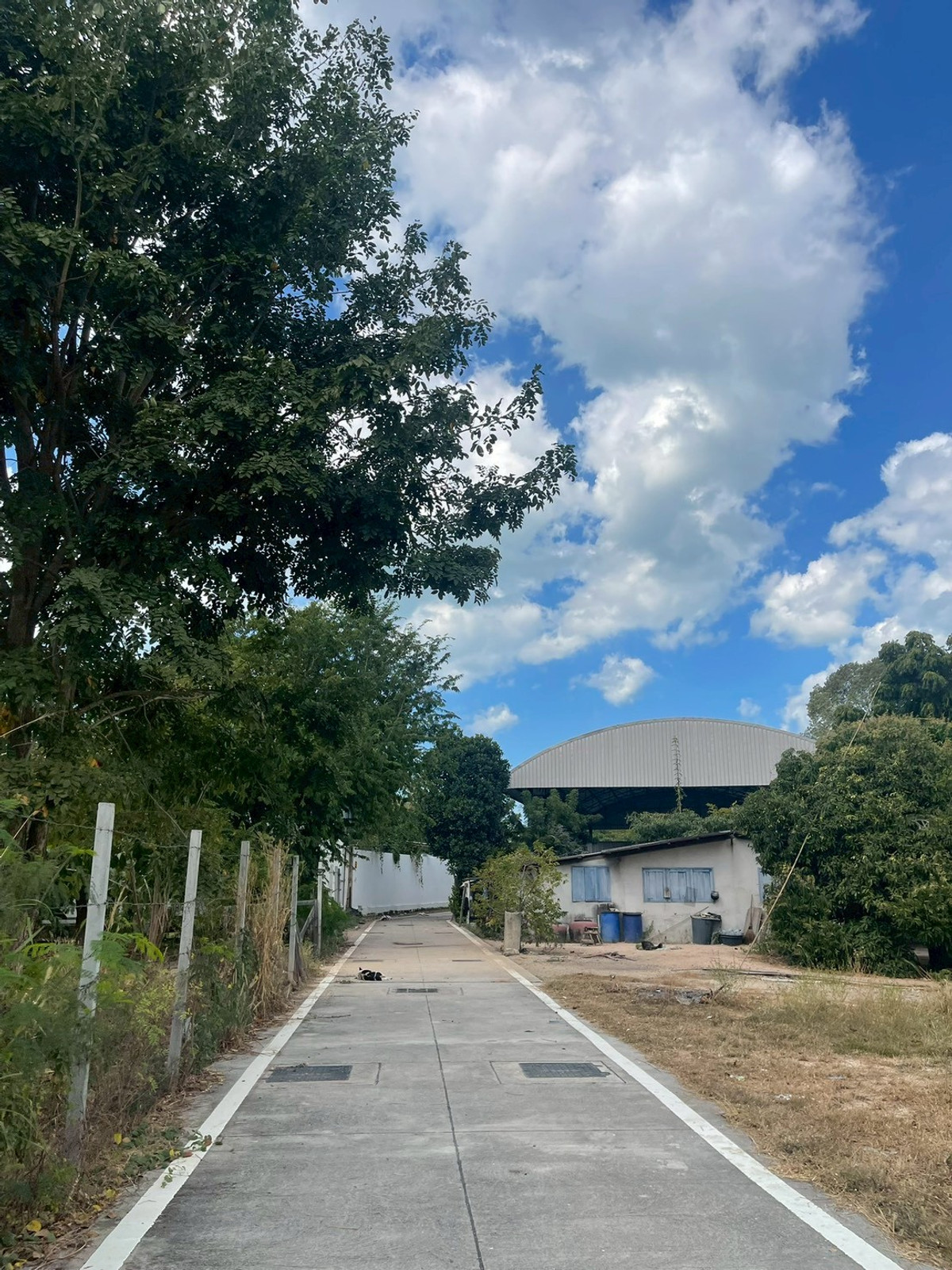 ที่ดิน 379 ตร.ว. กระทิงลาย / (ขาย), Land 379 sq.wah Krating Lai / (FOR SALE) BEWN039