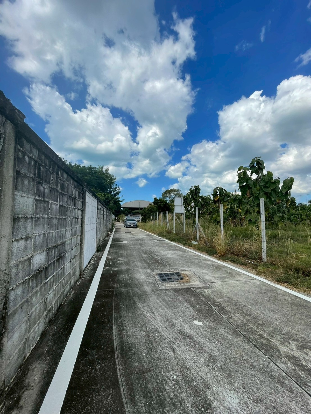 ที่ดิน 379 ตร.ว. กระทิงลาย / (ขาย), Land 379 sq.wah Krating Lai / (FOR SALE) BEWN039