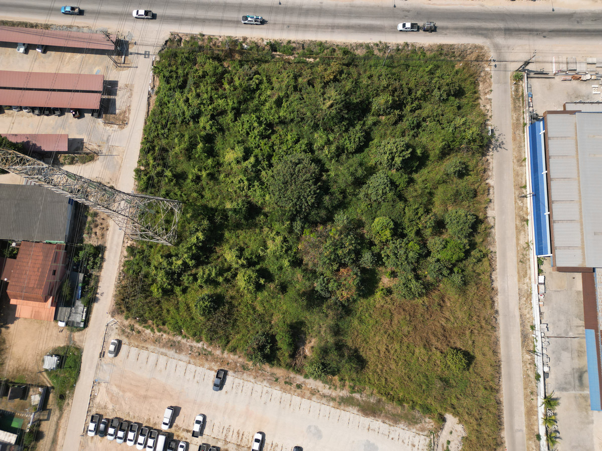 ที่ดินเปล่า 8 ไร่นิคมพัฒนา / (ขาย), Vacant Land 8 Rai Nikhom Phatthana / (FOR SALE) AM021