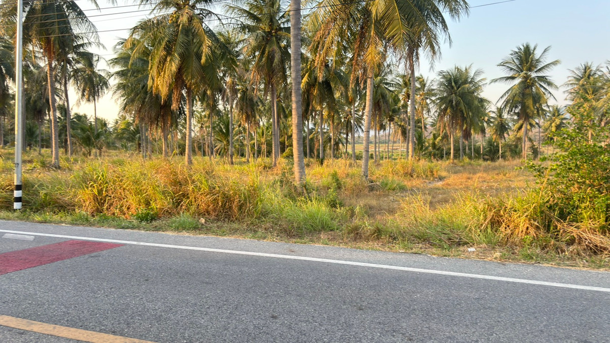 ที่ดิน 25 ไร่ เขาเขียว บางพระ ชลบุรี / (เช่า), Land 25 rai Khao Khiao Bang Phra Chonburi / (FOR RENT) YEAN092