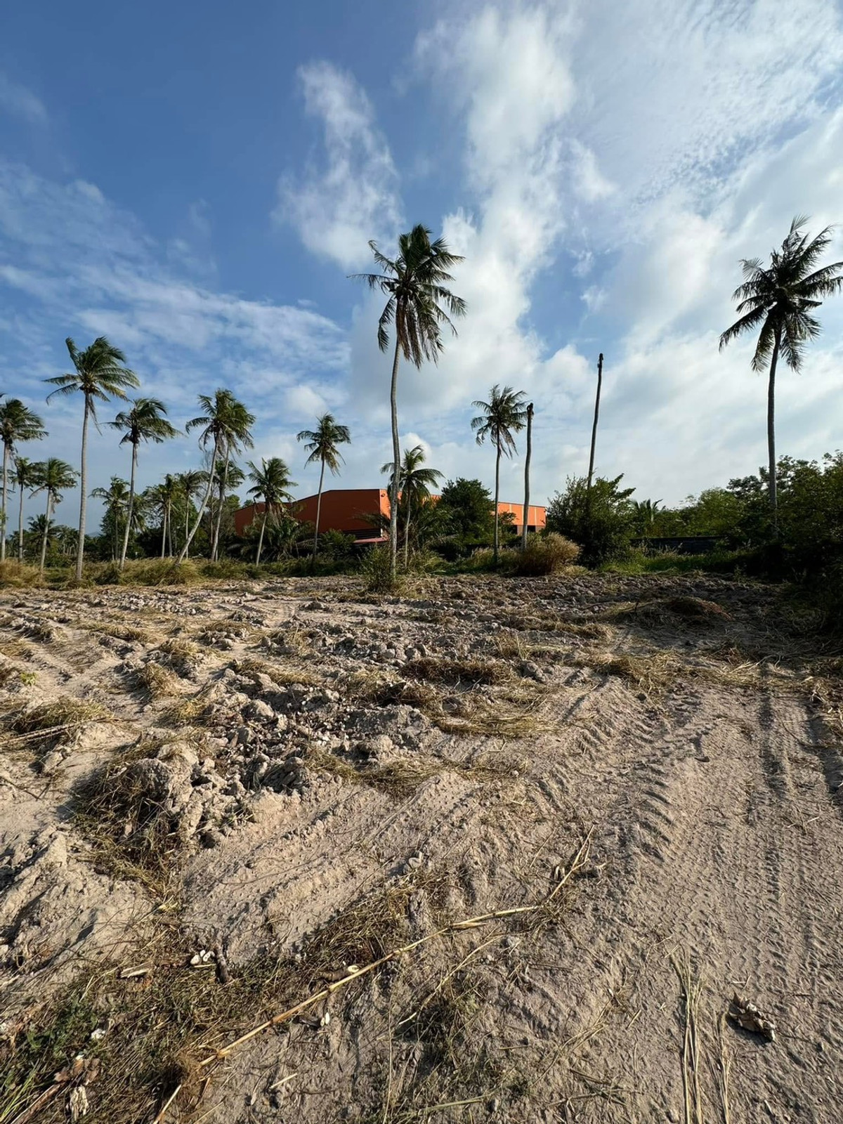 ที่ดิน บางพระ ชลบุรี / 7 ไร่ 3 งาน 52 ตารางวา (ขาย), Land Bang Phra, Chonburi / 7 rai 3 ngan 52 square wah (FOR SALE) YEAN094