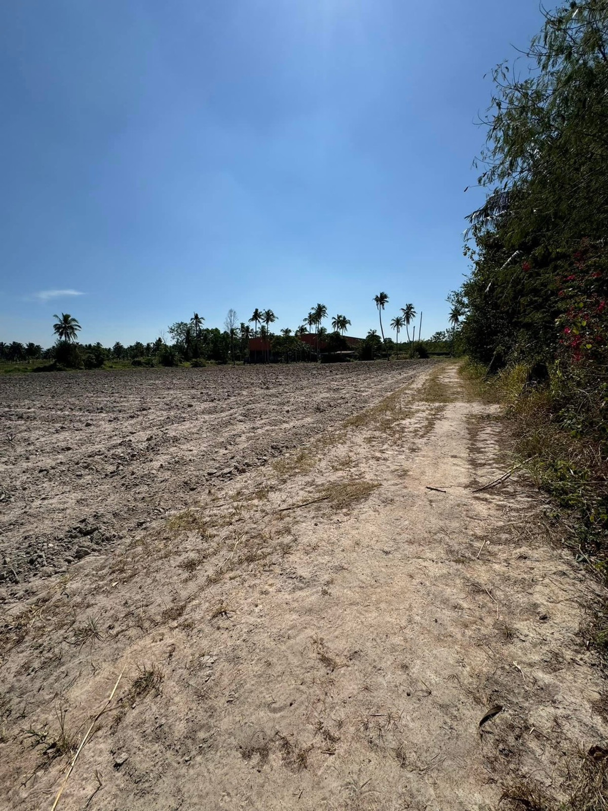 ที่ดิน บางพระ ชลบุรี / 7 ไร่ 3 งาน 52 ตารางวา (ขาย), Land Bang Phra, Chonburi / 7 rai 3 ngan 52 square wah (FOR SALE) YEAN094