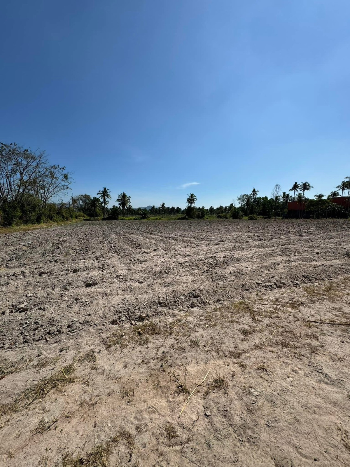 ที่ดิน บางพระ ชลบุรี / 7 ไร่ 3 งาน 52 ตารางวา (ขาย), Land Bang Phra, Chonburi / 7 rai 3 ngan 52 square wah (FOR SALE) YEAN094