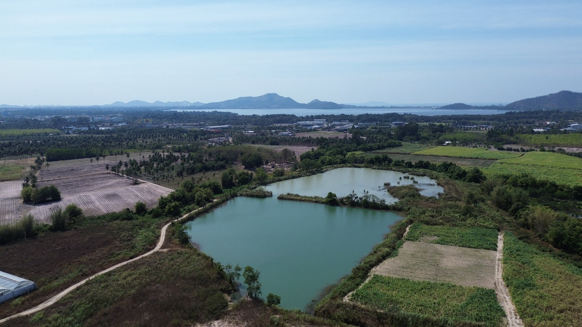 ที่ดิน 98 ไร่ เขาเขียว ต.บางพระ จ.ชลบุรี / (เช่า), Land 98 rai, Khao Khiao  Bang Phra Subdistrict, Chonburi Province / (FOR RENT) YEAN093