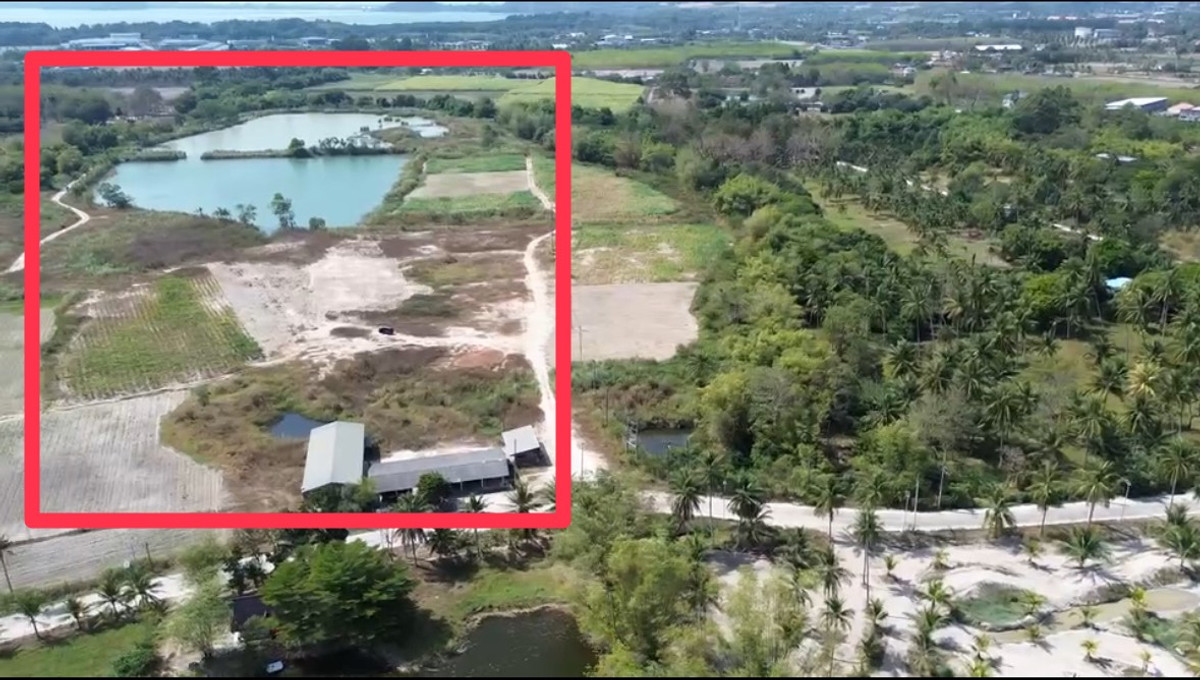 ที่ดิน 98 ไร่ เขาเขียว ต.บางพระ จ.ชลบุรี / (เช่า), Land 98 rai, Khao Khiao  Bang Phra Subdistrict, Chonburi Province / (FOR RENT) YEAN093