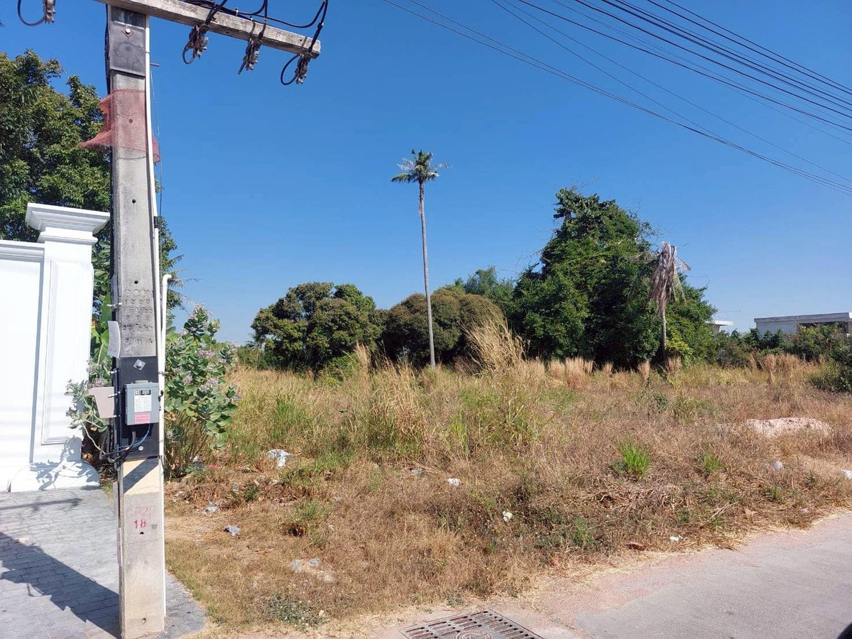 ที่ดิน 5 ไร่ 1 งาน 91 ตร.วา บางละมุง - หนองปรือ / (ขาย), Land 5 rai 1 ngan 91 sq m. Bang Lamung - Nong Prue / (FOR SALE) BEWN067