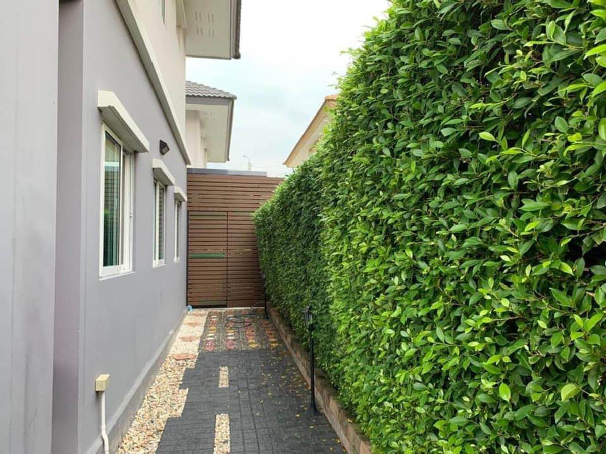 เดอะแพลนท์ ปิ่นเกล้า - กาญจนาภิเษก / 3 ห้องนอน (เช่า), The Plant Pinklao - Kanchanaphisek / 3 Bedrooms (FOR RENT) BALL265