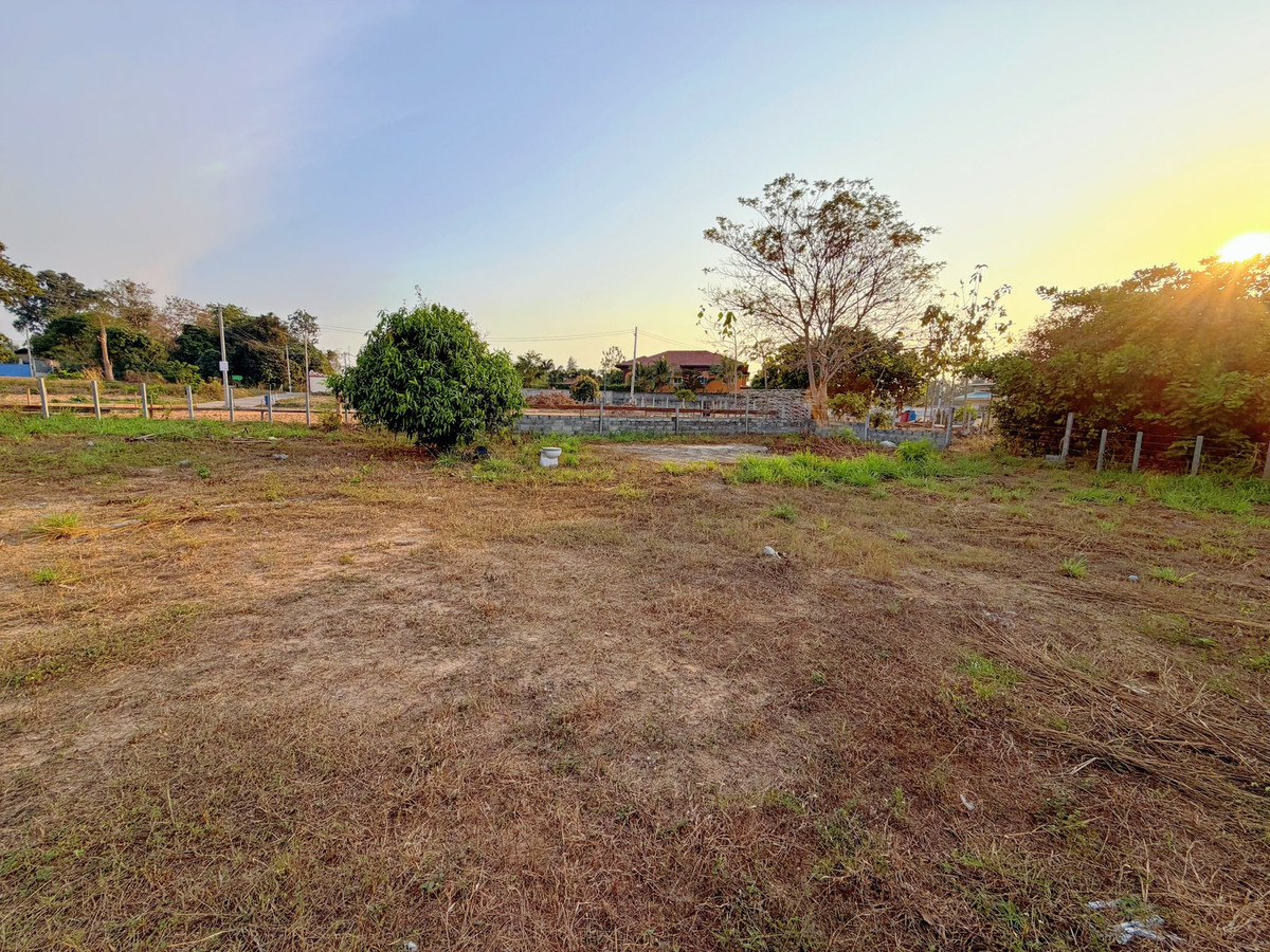 ที่ดิน 204 ตร.ว. มาบประชันบน / (ขาย), Land 204 sq m. Map Prachan Bon / (FOR SALE) BEWN070