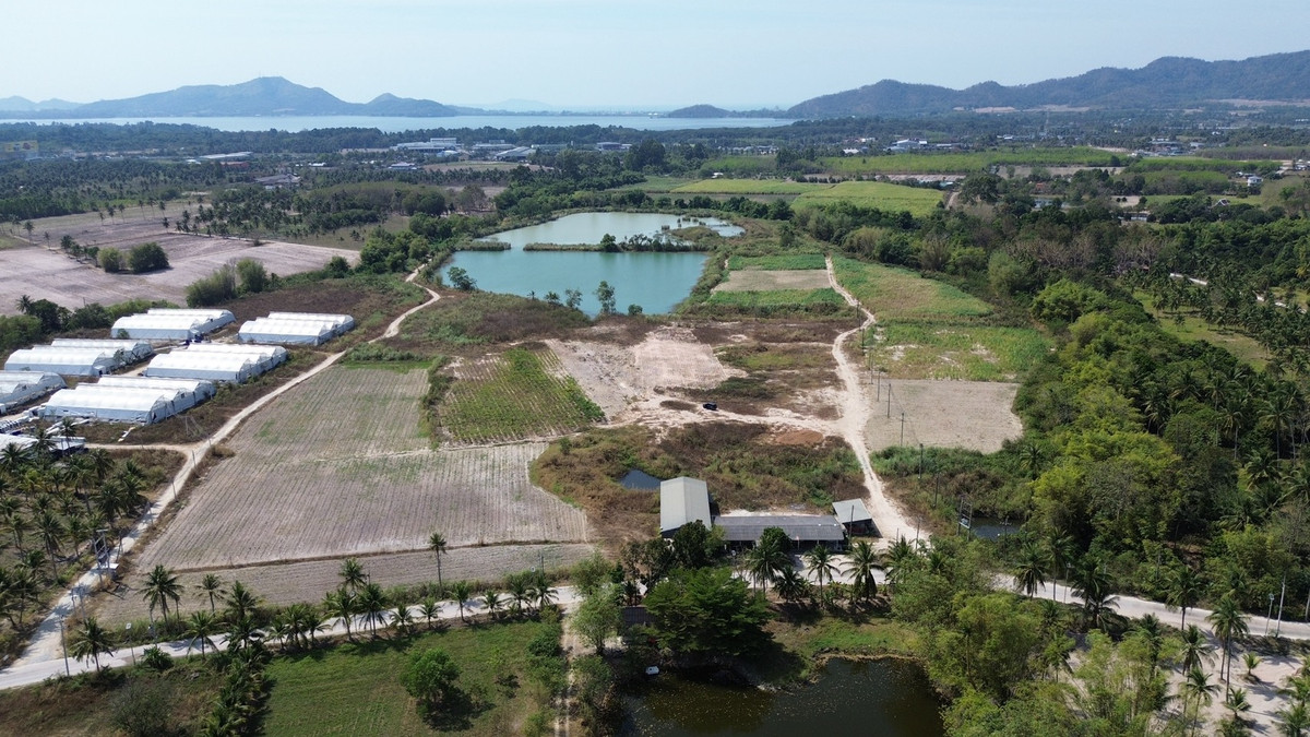 ที่ดิน 20 ไร่ เขาเขียว บางพระ จ.ชลบุรี / (เช่า), Land 20 rai Khao Khiao Bang Phra Chonburi Prov / (FOR RENT) YEAN116