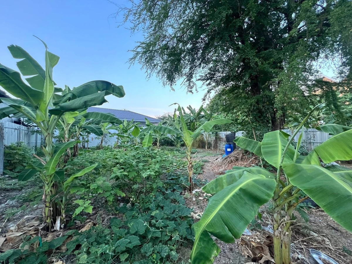 ที่ดิน นาคนิวาส 37 / 101 ตร.ว. (ขาย), Land Nakniwat 37 / 101 sq.w. (FOR SALE) FAHS062