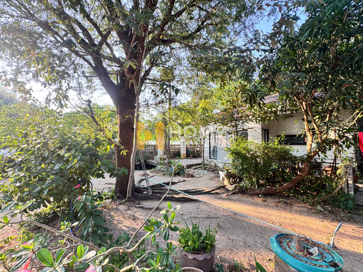 ที่ดิน 3 งาน 21 ตร.ว. หลังอัสสัมชัญ ศรีราชา / (ขาย), Land 3 Ngan 21 Sq.w. Assumption Sriracha / (FOR SALE) YEAN168