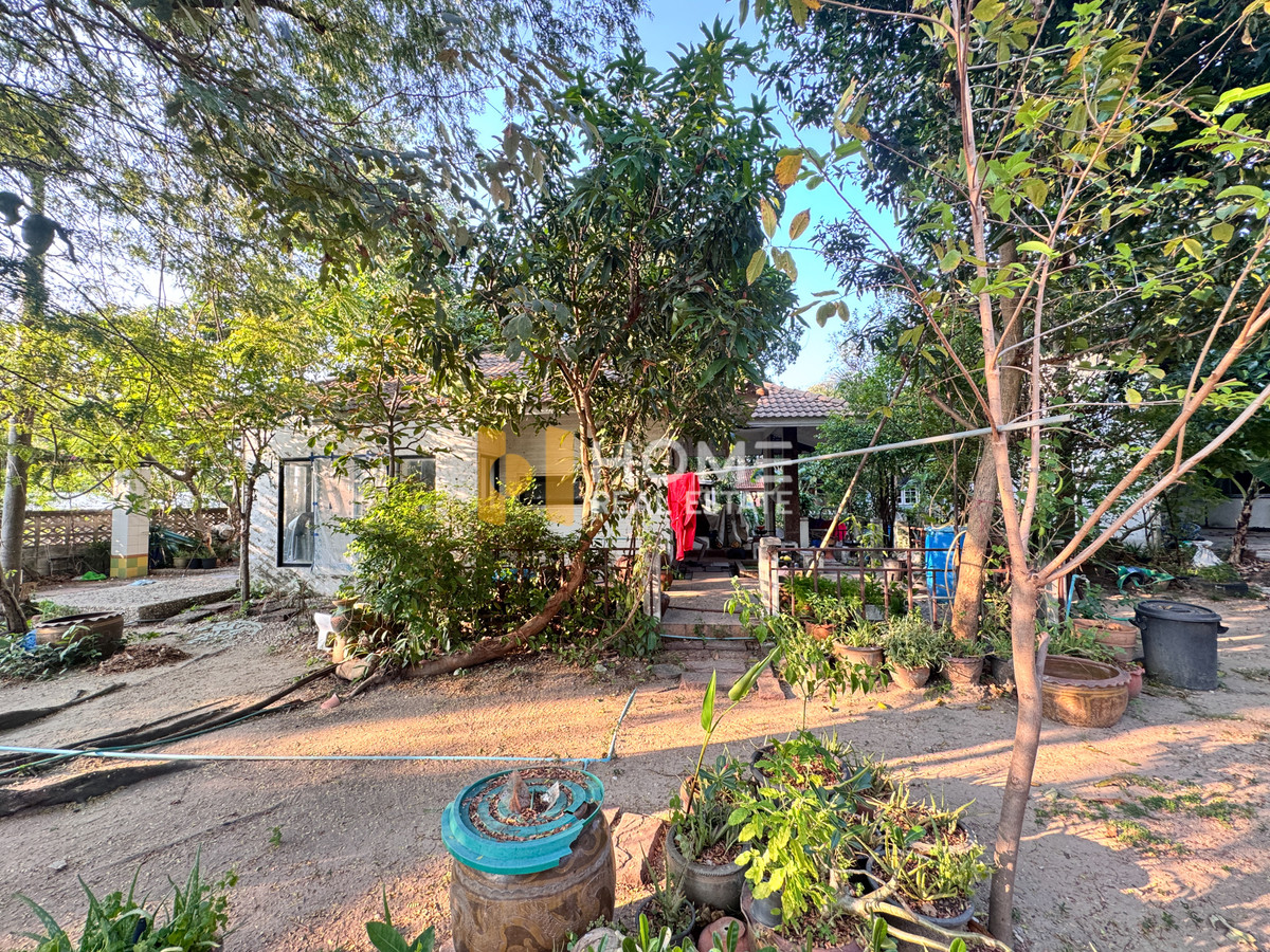 ที่ดิน 3 งาน 21 ตร.ว. หลังอัสสัมชัญ ศรีราชา / (ขาย), Land 3 Ngan 21 Sq.w. Assumption Sriracha / (FOR SALE) YEAN168