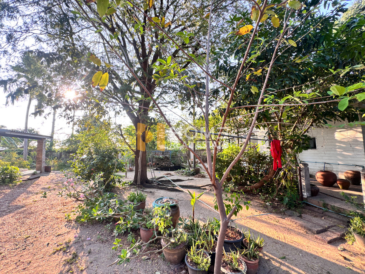 ที่ดิน 1 งาน 61 ตร.ว. ติดหมู่บ้านชัยตระกูลทอง ศรีราชา / (ขาย), Land 1 Ngan 61 Sq.w. Chaitrakulthong Village Sriracha / (FOR SALE) YEAN170