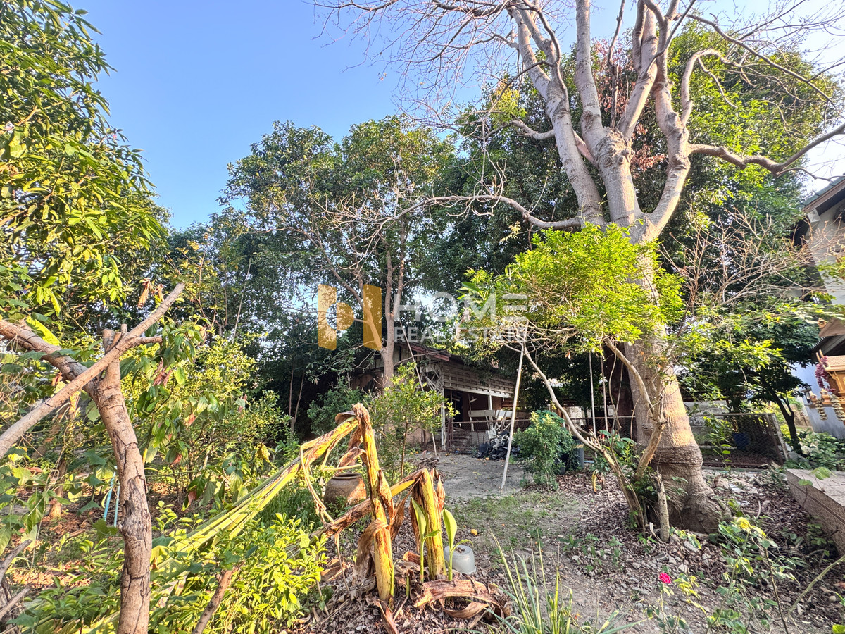 ที่ดิน 1 งาน 61 ตร.ว. ติดหมู่บ้านชัยตระกูลทอง ศรีราชา / (ขาย), Land 1 Ngan 61 Sq.w. Chaitrakulthong Village Sriracha / (FOR SALE) YEAN170