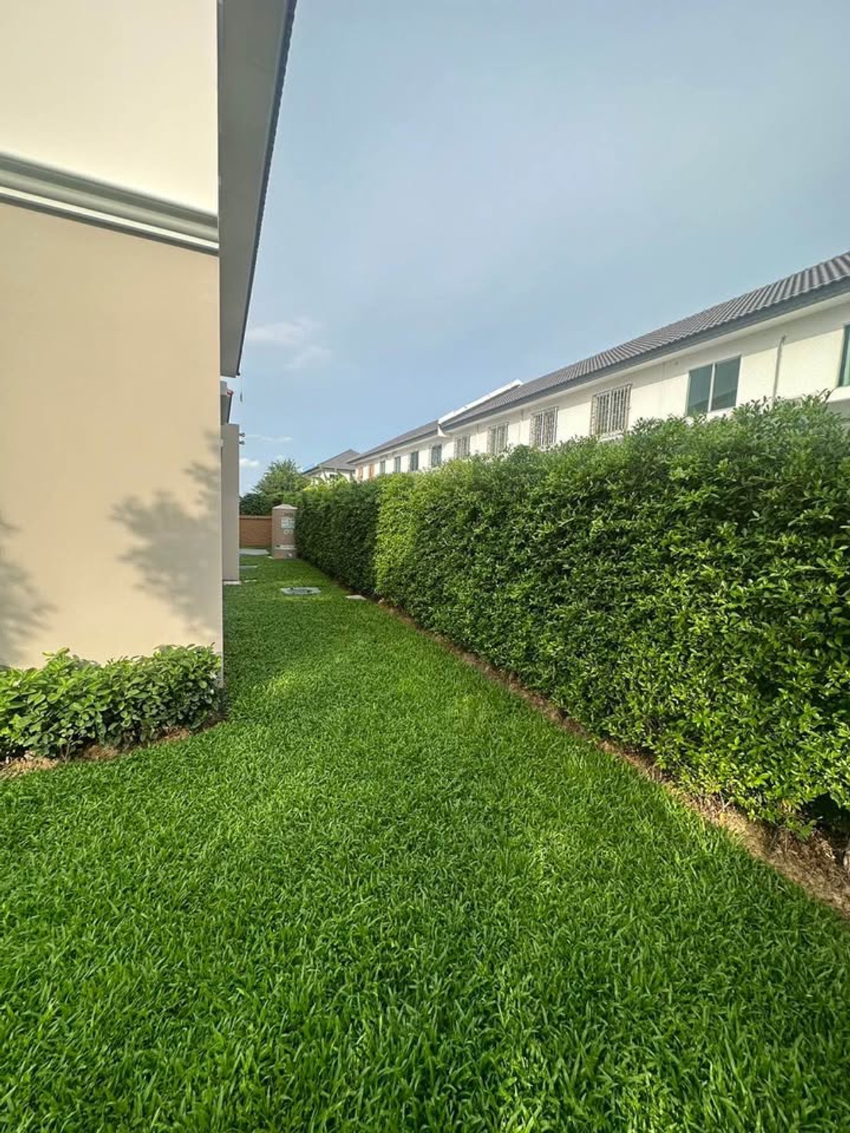 นีโอ โฮม บางแค / 4 ห้องนอน (ขาย), Neo Home Bangkhae / 4 Bedrooms (FOR SALE) BALL324