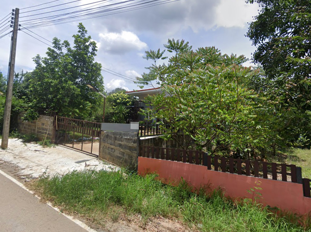 ที่ดิน ปากช่อง / (ขาย), Land Pak Chong / (FOR SALE) TPM399