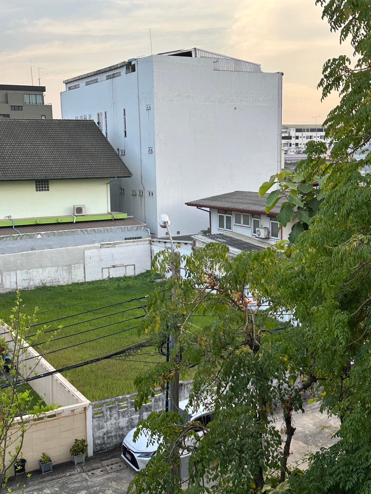 ที่ดิน พระราม 9 ซอย 51 / (ขาย), Land Rama 9 Soi 51 / (FOR SALE) BZD187