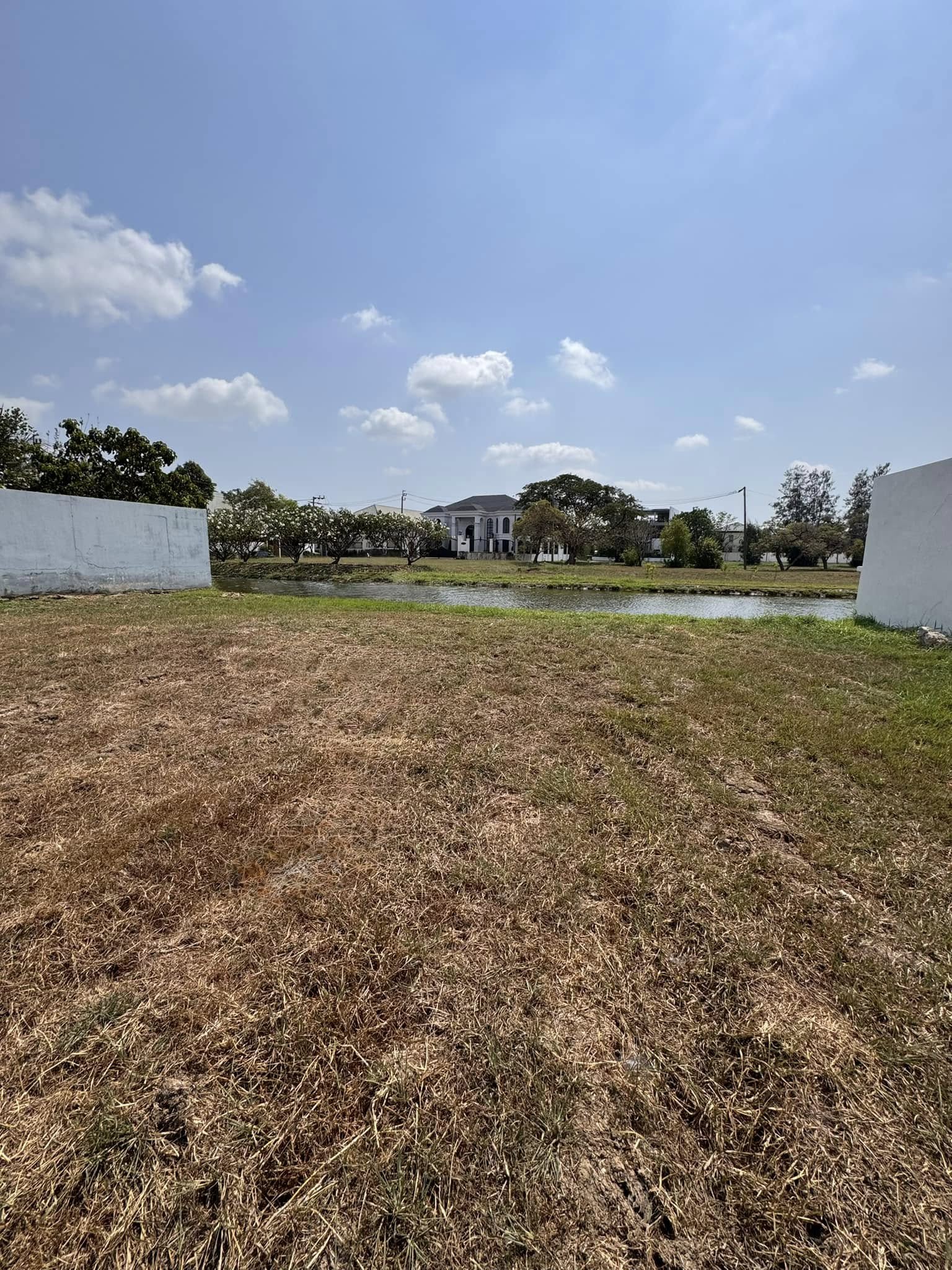 ที่ดิน วินด์มิลล์ พาร์ค (ขาย) , Land Windmill Park (FOR SALE) POON250