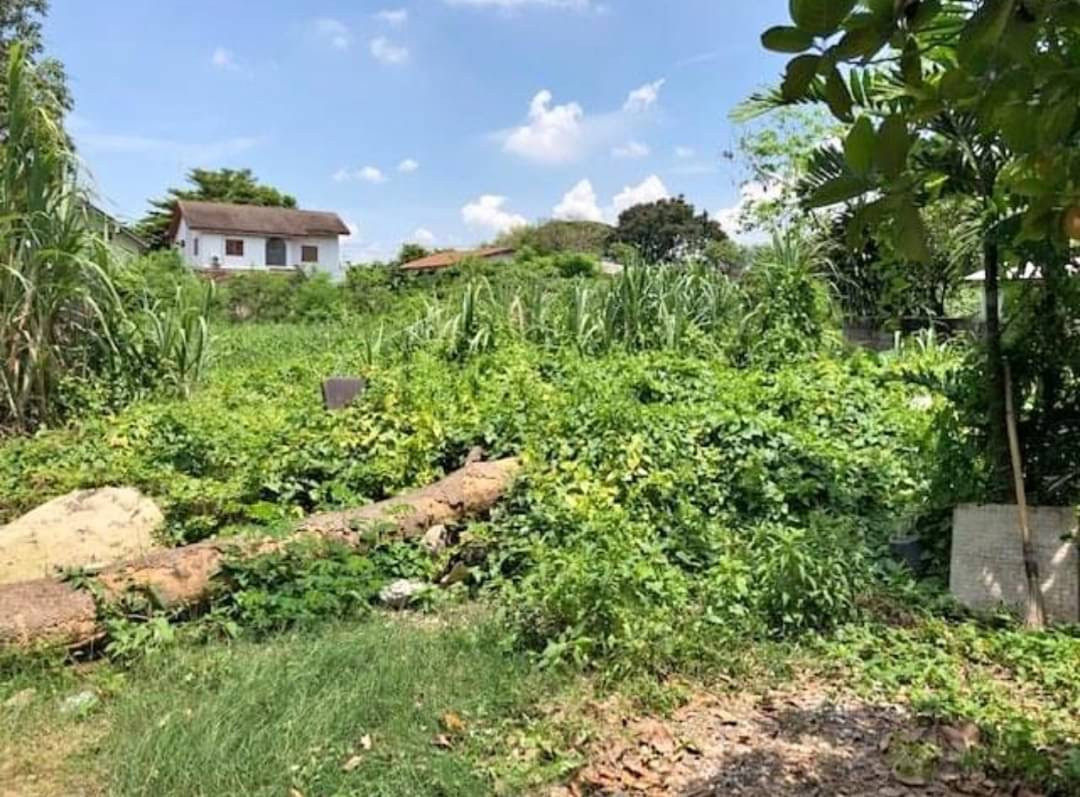 ที่ดิน ปุณณวิถี 37 / 98 ตารางวา (ขาย), Land Punnawithi 37 / 98 Square Wa (FOR SALE) GNG141