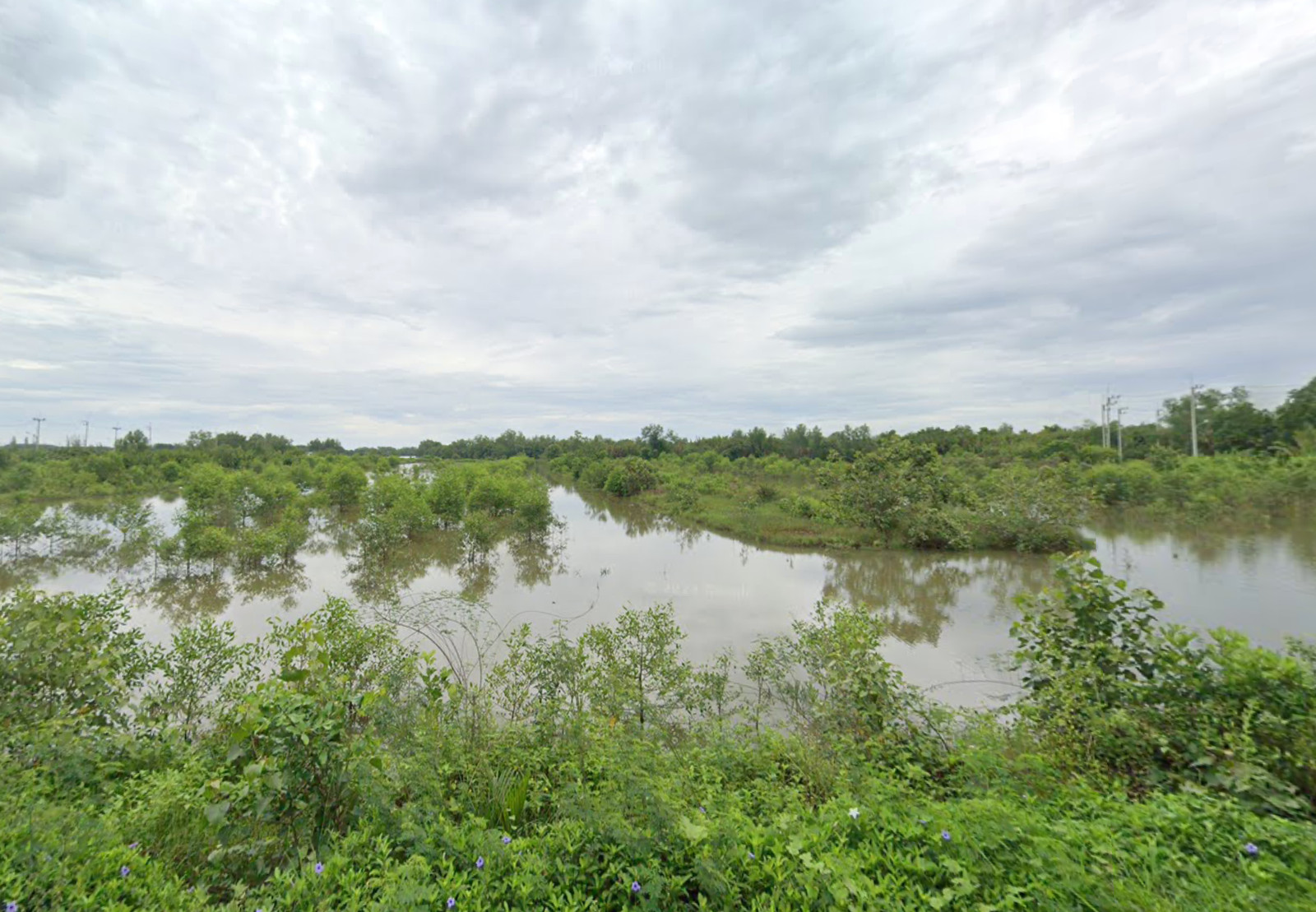 ที่ดินบ้านแหลม เพชรบุรี (ขาย), Land Ban Laem Phetchaburi (FOR SALE) TPM413