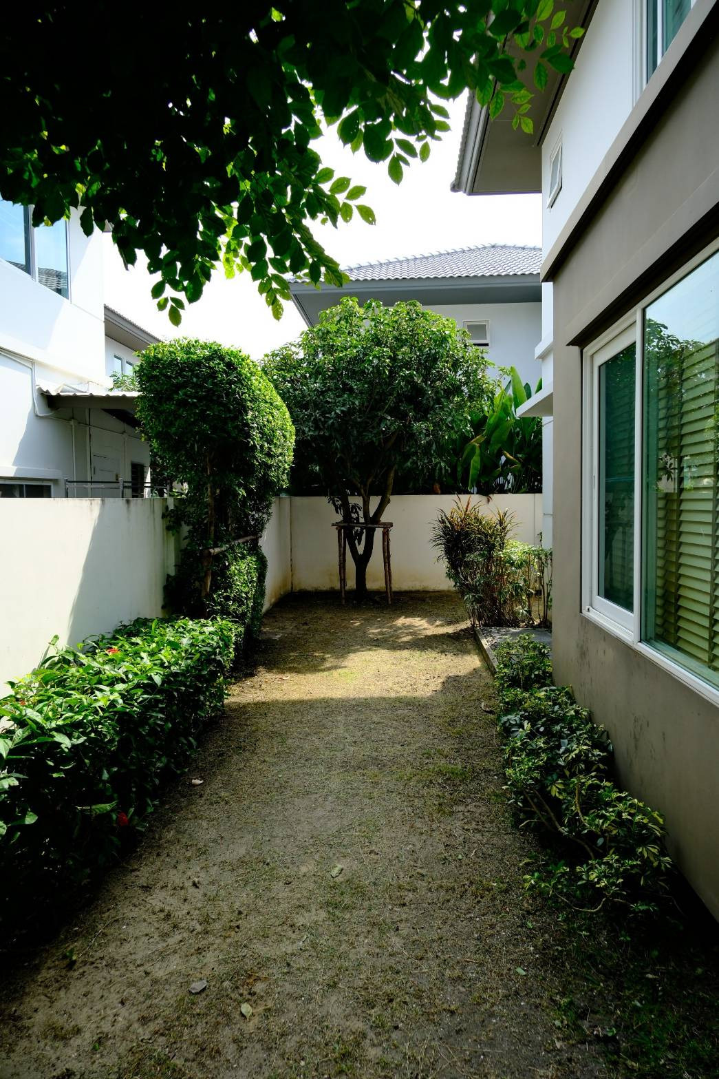 ชัยพฤกษ์ ปิ่นเกล้า กาญจนาฯ / 3 ห้องนอน (ขาย), Chaiyapruk Pinklao Kanchanapisek / 3 Bedrooms (FOR SALE) AOM137