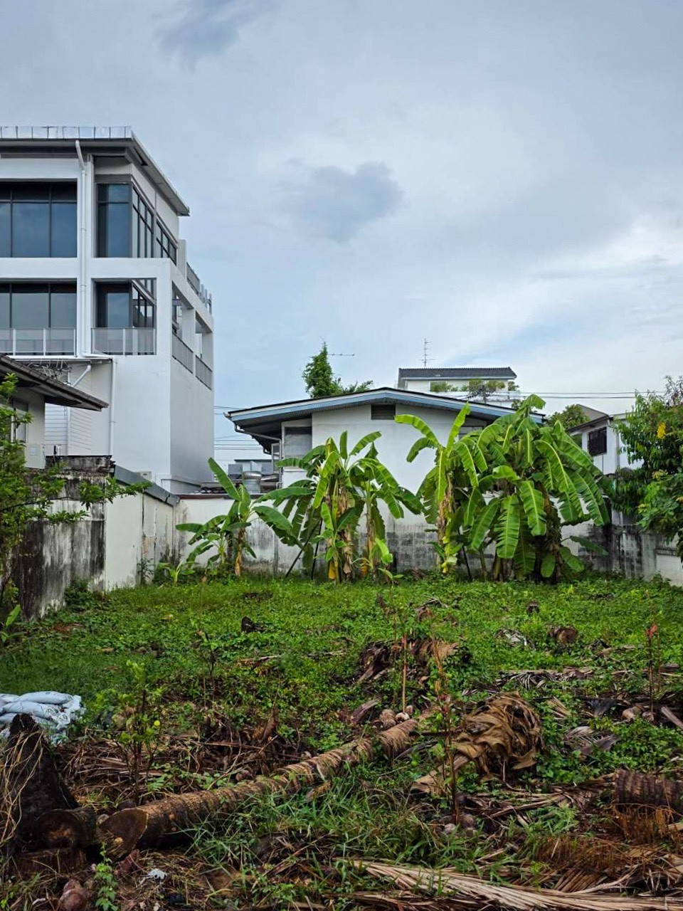 บ้านเดี่ยว พระราม 9 ซอย 51 / 4 ห้องนอน (ขาย), Single House Rama 9 Soi 51 / 4 Bedrooms (FOR SALE) BZD205