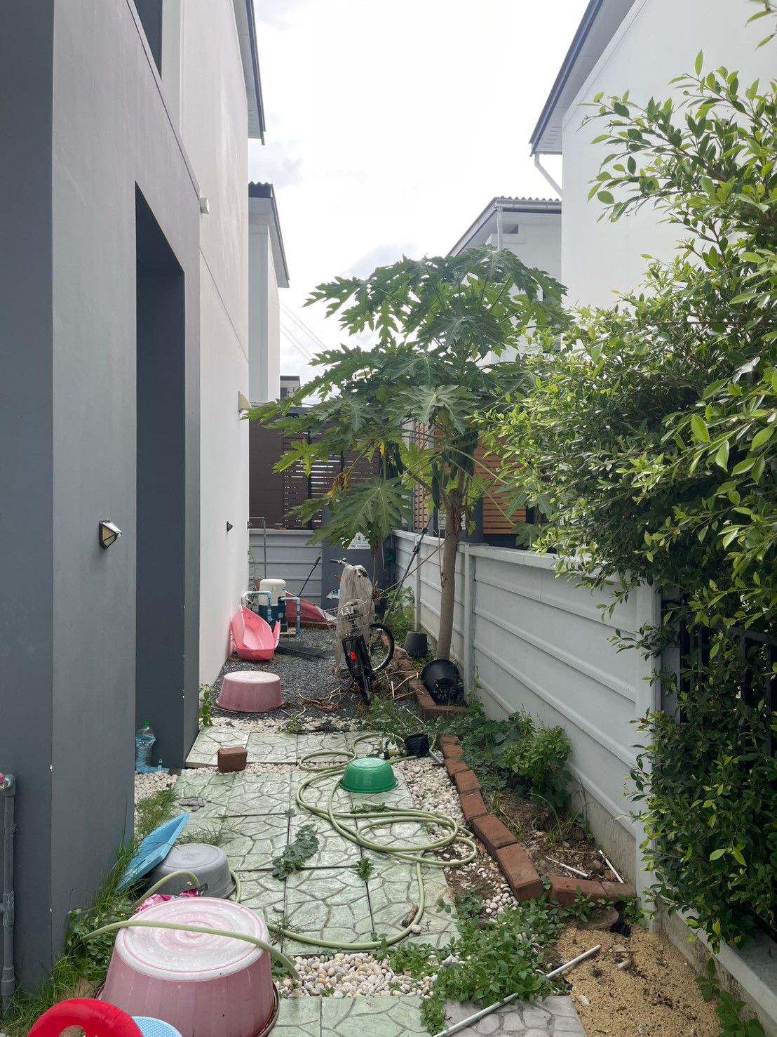 อีโค เฮ้าส์ ปิ่นเกล้า - ศาลายา / 4 ห้องนอน (ขาย), ECO HAUS Pinklao - Salaya / 4 Bedrooms (FOR SALE) BALL388