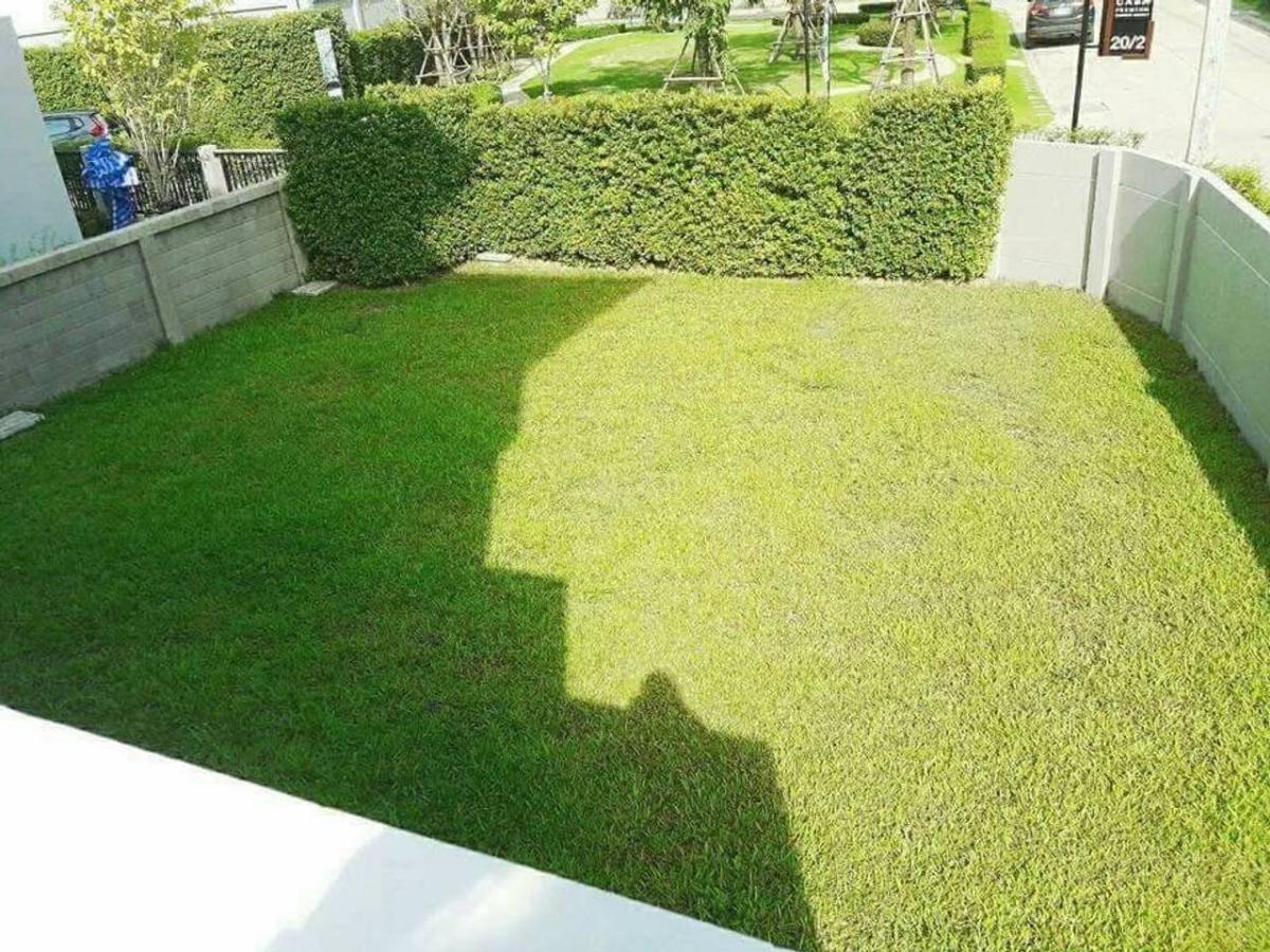 บ้านเดี่ยว คาซ่าพรีเมี่ยม ราชพฤกษ์ - พระราม5 / 3 ห้องนอน (ขาย), House Casa Premium Ratchaphruek – Rama 5 / 3 Bedrooms (FOR SALE) EARK036