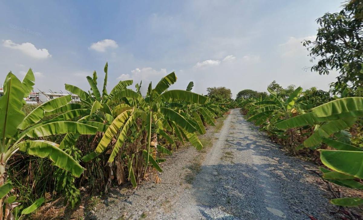 ที่ดิน บางนา กม.5 / 2 ไร่ 2 งาน (ขาย), Land in Bangna, KM 5. / 0 Square Wa (FOR SALE) GNG190