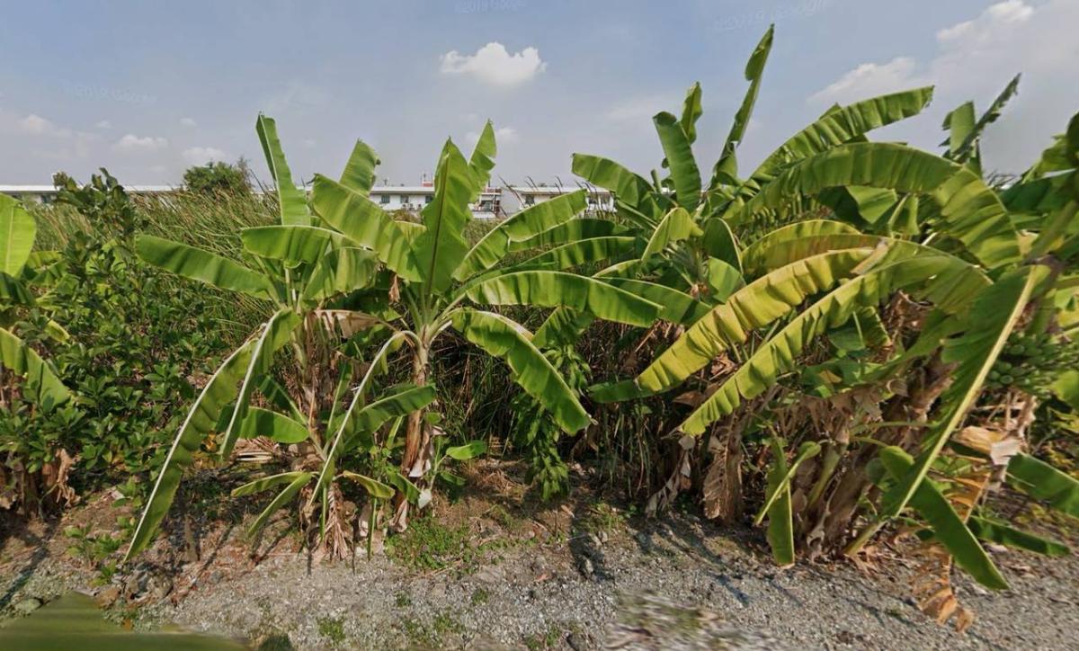 ที่ดิน บางนา กม.5 / 2 ไร่ 2 งาน (ขาย), Land in Bangna, KM 5. / 0 Square Wa (FOR SALE) GNG190