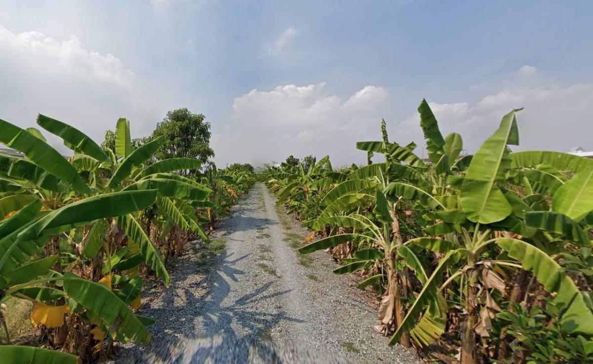 ที่ดิน บางนา กม.5 / 2 ไร่ 2 งาน (ขาย), Land in Bangna, KM 5. / 0 Square Wa (FOR SALE) GNG190