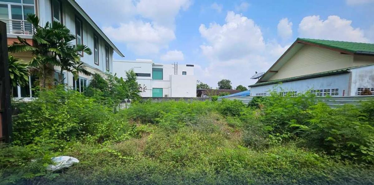 ที่ดิน 159 ตร.ว. ซอยปุณณวิถี 52 / 159 ตร.วา (ขาย), Land plot of 159 square wah, Soi Punnavithi 52. / 159 Square Wa (FOR SALE) GNG195