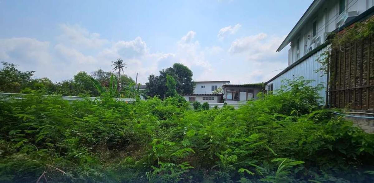 ที่ดิน 159 ตร.ว. ซอยปุณณวิถี 52 / 159 ตร.วา (ขาย), Land plot of 159 square wah, Soi Punnavithi 52. / 159 Square Wa (FOR SALE) GNG195