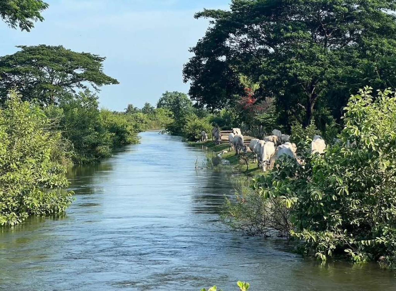 ที่ดิน ราชบุรี / 12 ไร่ 1 งาน 86 ตร.วา (ขาย), Land in Ratchaburi / 86 Square Wa (FOR SALE) EARK067