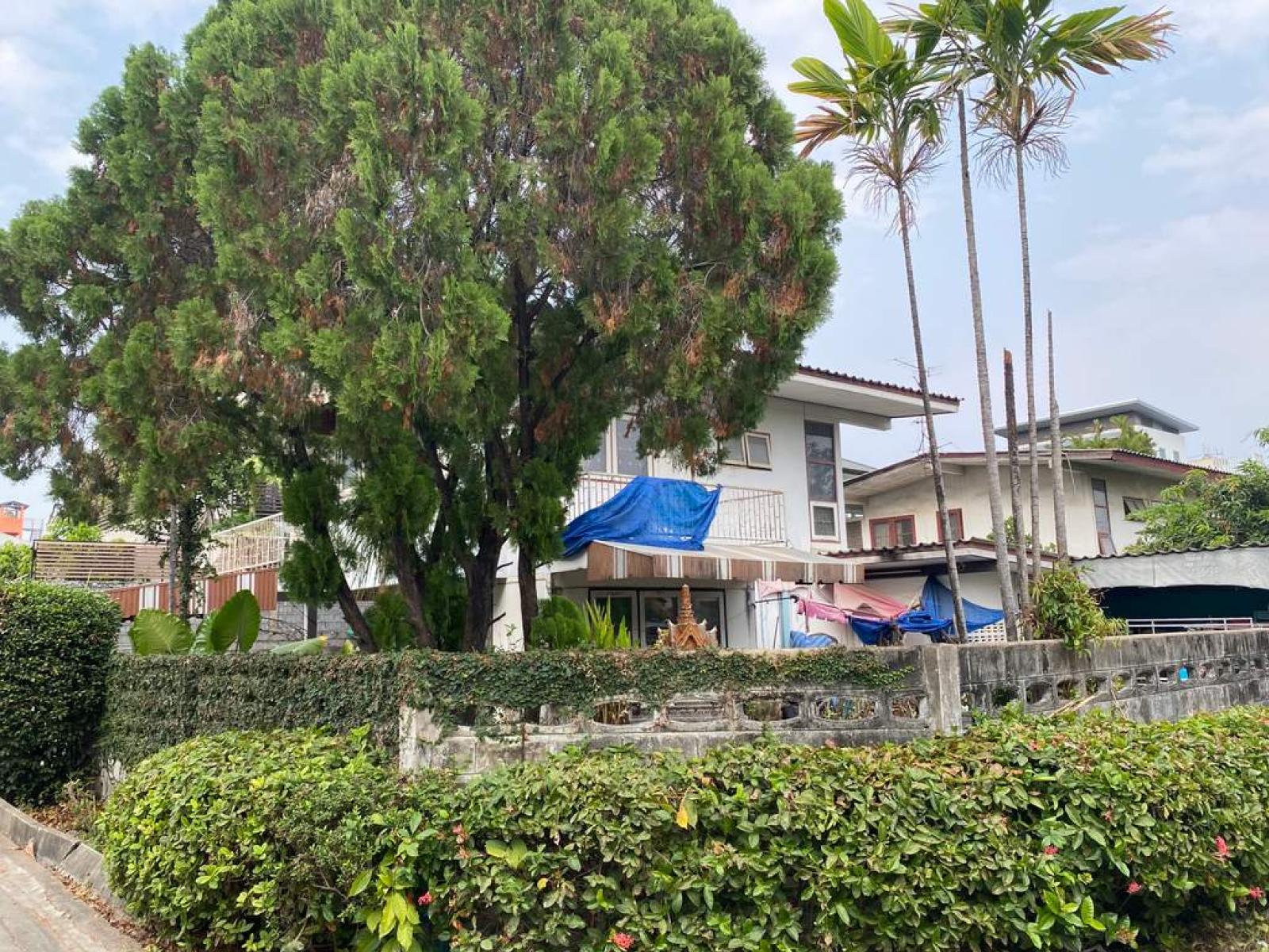 หมู่บ้านชานติ / 87 ตร.วา (ขาย), Shanti Village / 87 Square Wa (FOR SALE) VIEW024