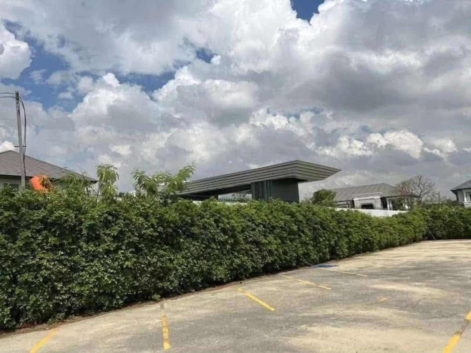 ที่ดิน 217 ตร.ว. แบริ่ง 31/1 / 217 ตร.วา (ให้เช่า), Land plot of 217 square wah Bearing 31/1 / 217 Square Wa (FOR RENT) DA077