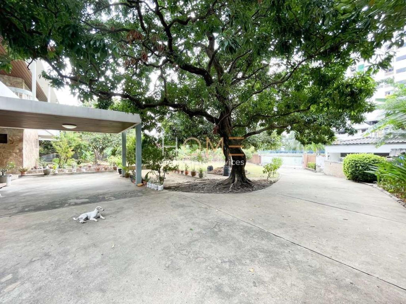 บ้านพร้อมที่ดิน ปรีดีพนมยงค์ 27 / 1 ไร่ 1 งาน 94 ตร.วา (ขาย), Land with House Pridi Banomyong 27 / 94 Square Wa (FOR SALE) PALM764