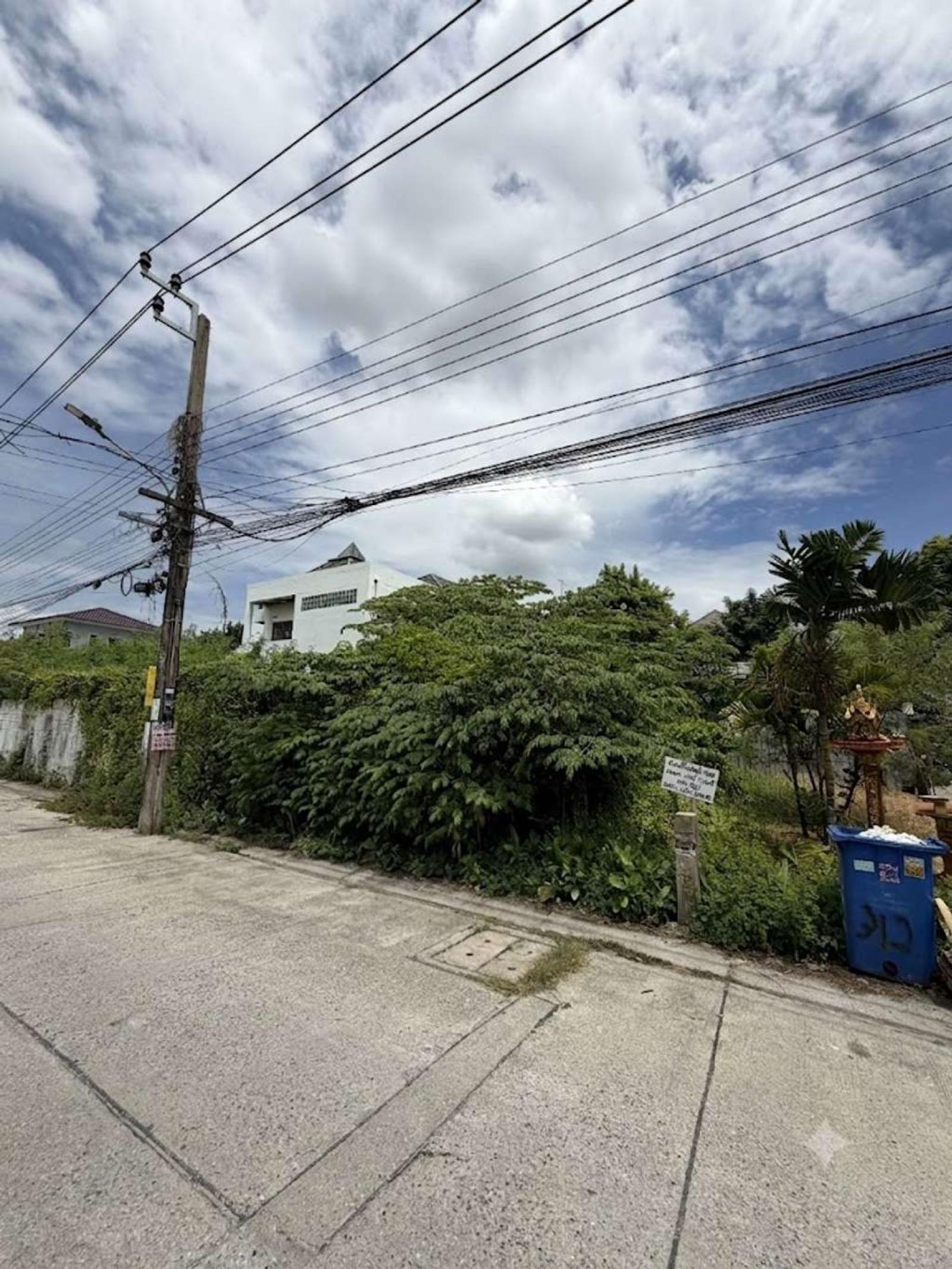 ที่ดิน 50 ตร.ว. แบริ่ง 19 / 50 ตร.วา (ขาย), ที่ดิน 50 ตร.ว. แบริ่ง 19 / 50 Square Wa (FOR SALE) DA078