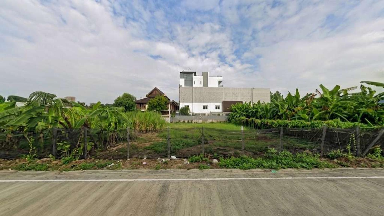 ที่ดิน พระราม 9 ซอย 55 / 1 งาน 71 ตร.วา (ขาย), Land plot, Rama 9 Soi 55 / 71 Square Wa (FOR SALE) BZD248