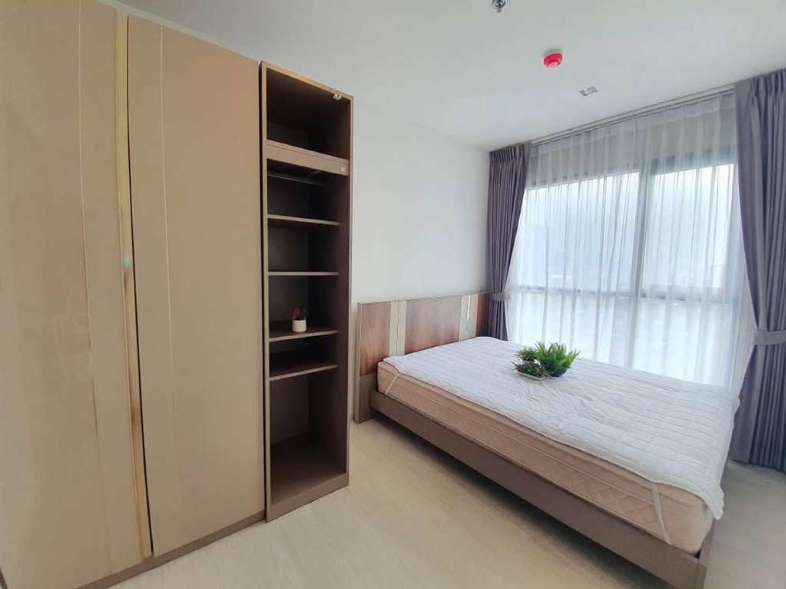 Life Sukhumvit 48 / 2 Bedrooms (FOR SALE), ไลฟ์ สุขุมวิท 48 / 2 ห้องนอน (ขาย) PYN354