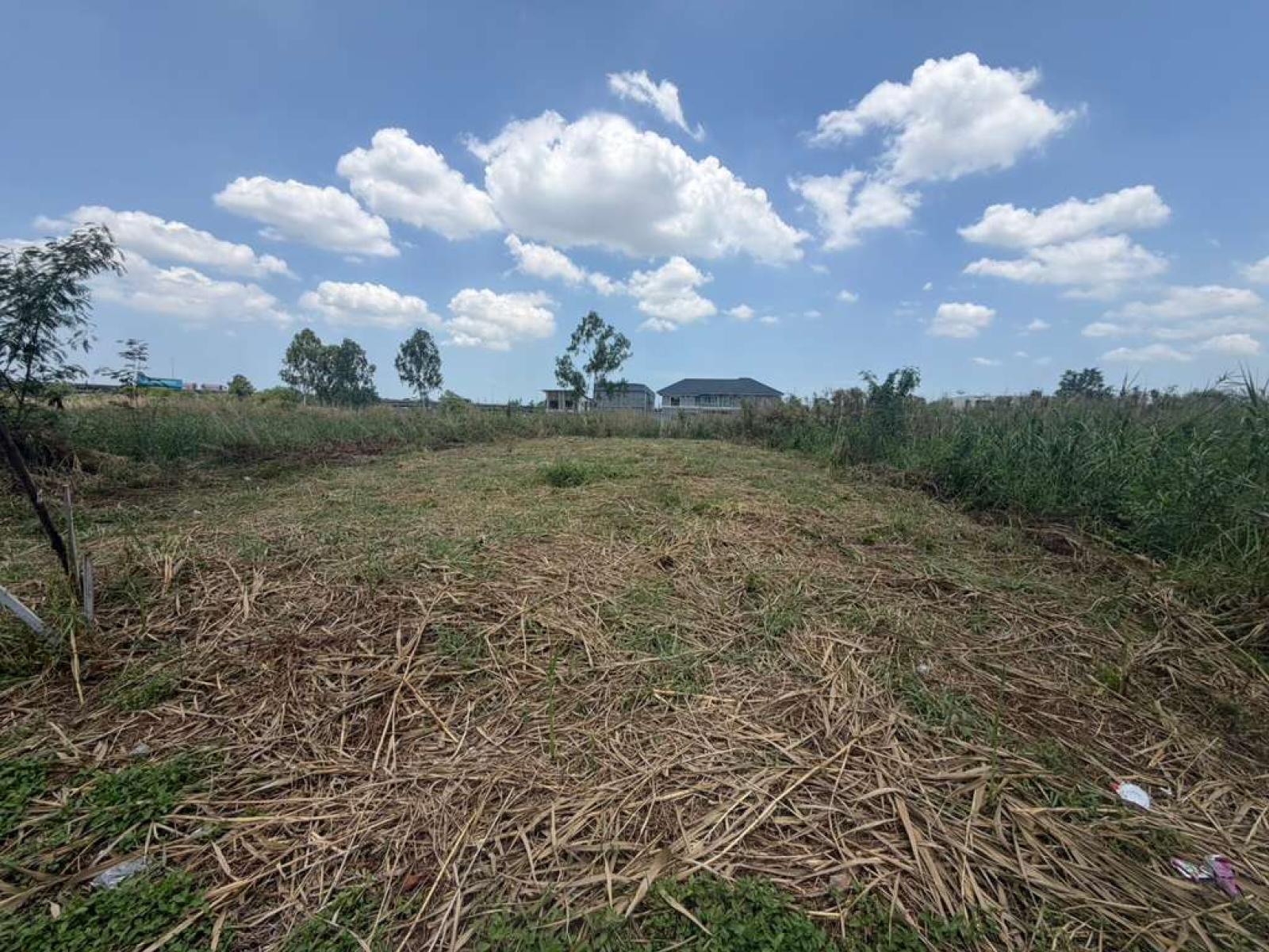 ที่ดิน 96 ตร.ว. ซอยราชวินิตบางแก้ว / 96 ตร.วา (ให้เช่า), Land plot of 96 square wah, Soi Ratchawinit Bang Kaeo. / 96 Square Wa (FOR RENT) DA110