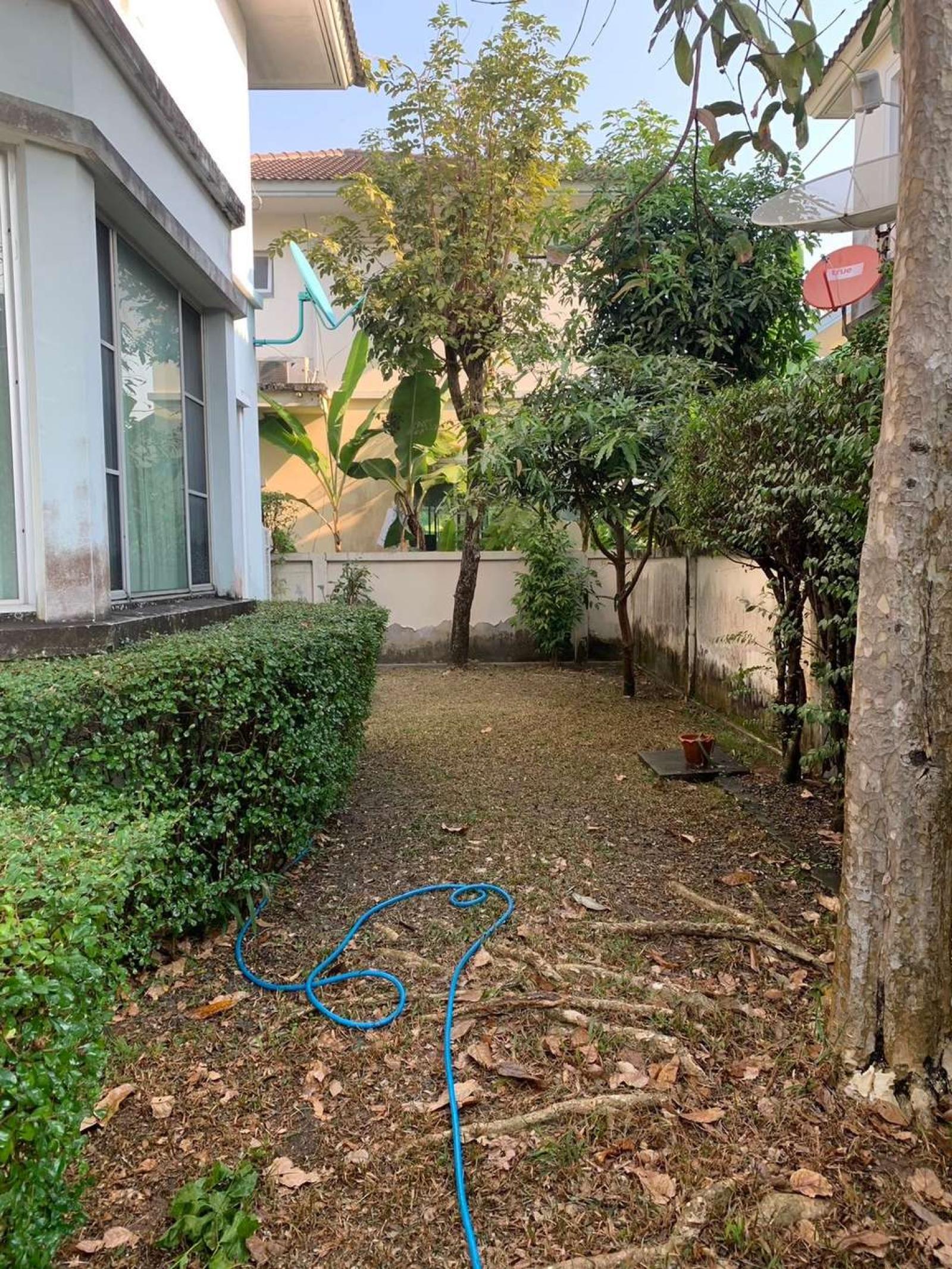 มัณฑนา ปิ่นเกล้า พระราม 5 / 3 ห้องนอน (ขาย), Manthana Pinklao Rama 5 / 3 Bedrooms (FOR SALE) BALL425
