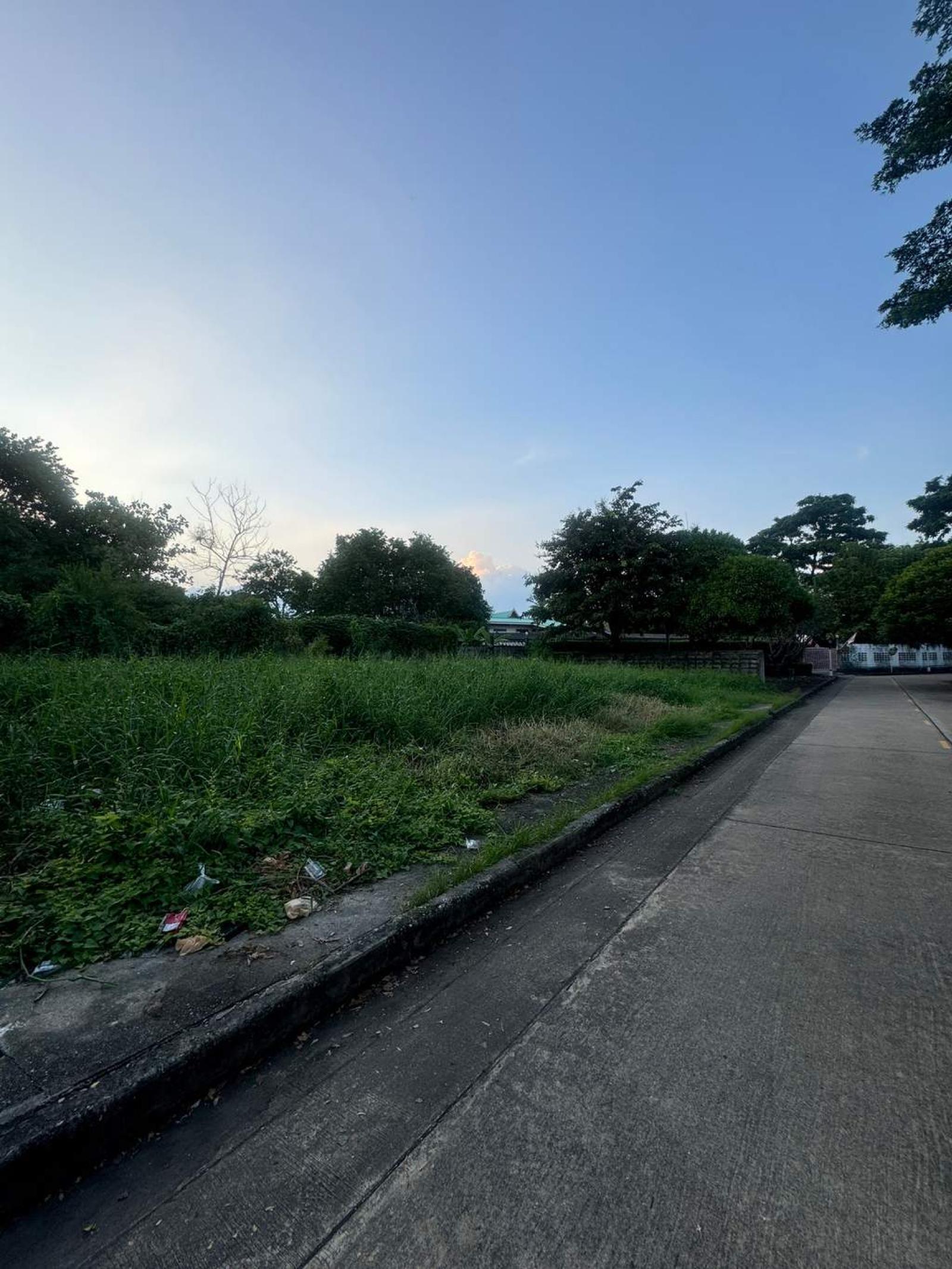 ที่ดิน ปัญญา พัฒนาการ / 297 ตร.วา (ขาย), Land Panya Village Pattanakarn / 297 Square Wa (FOR SALE) FAS054