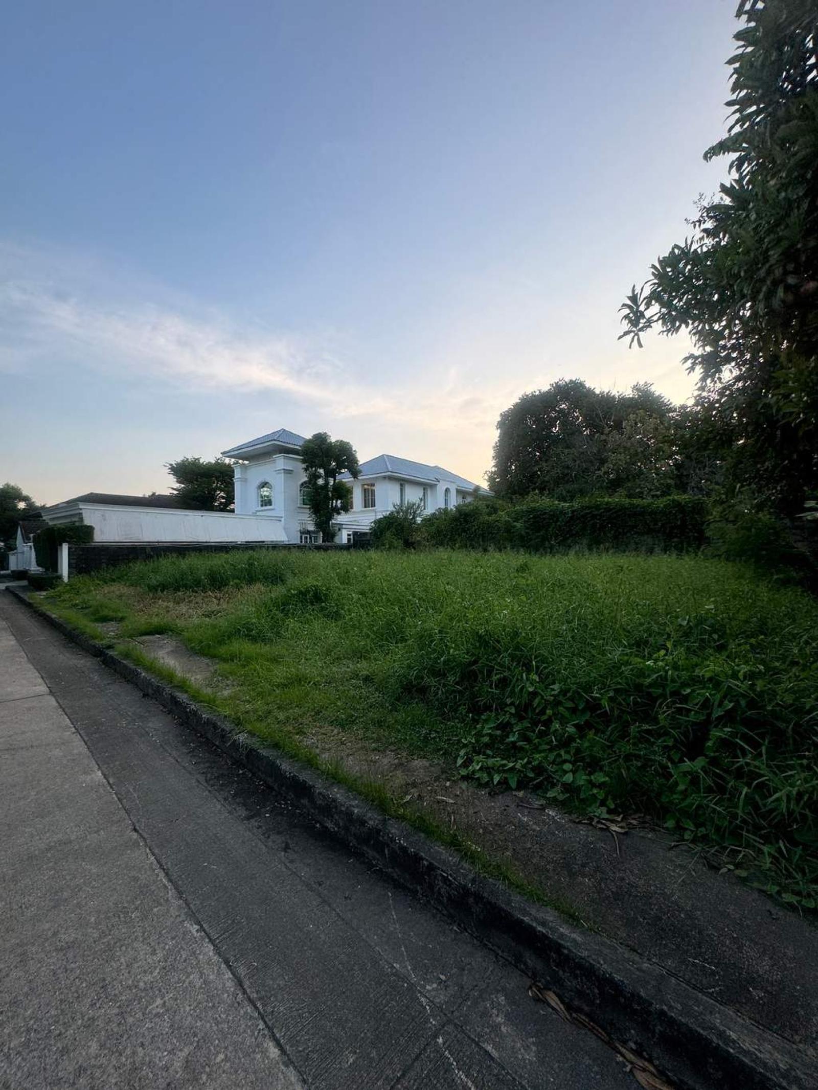 ที่ดิน ปัญญา พัฒนาการ / 297 ตร.วา (ขาย), Land Panya Village Pattanakarn / 297 Square Wa (FOR SALE) FAS054