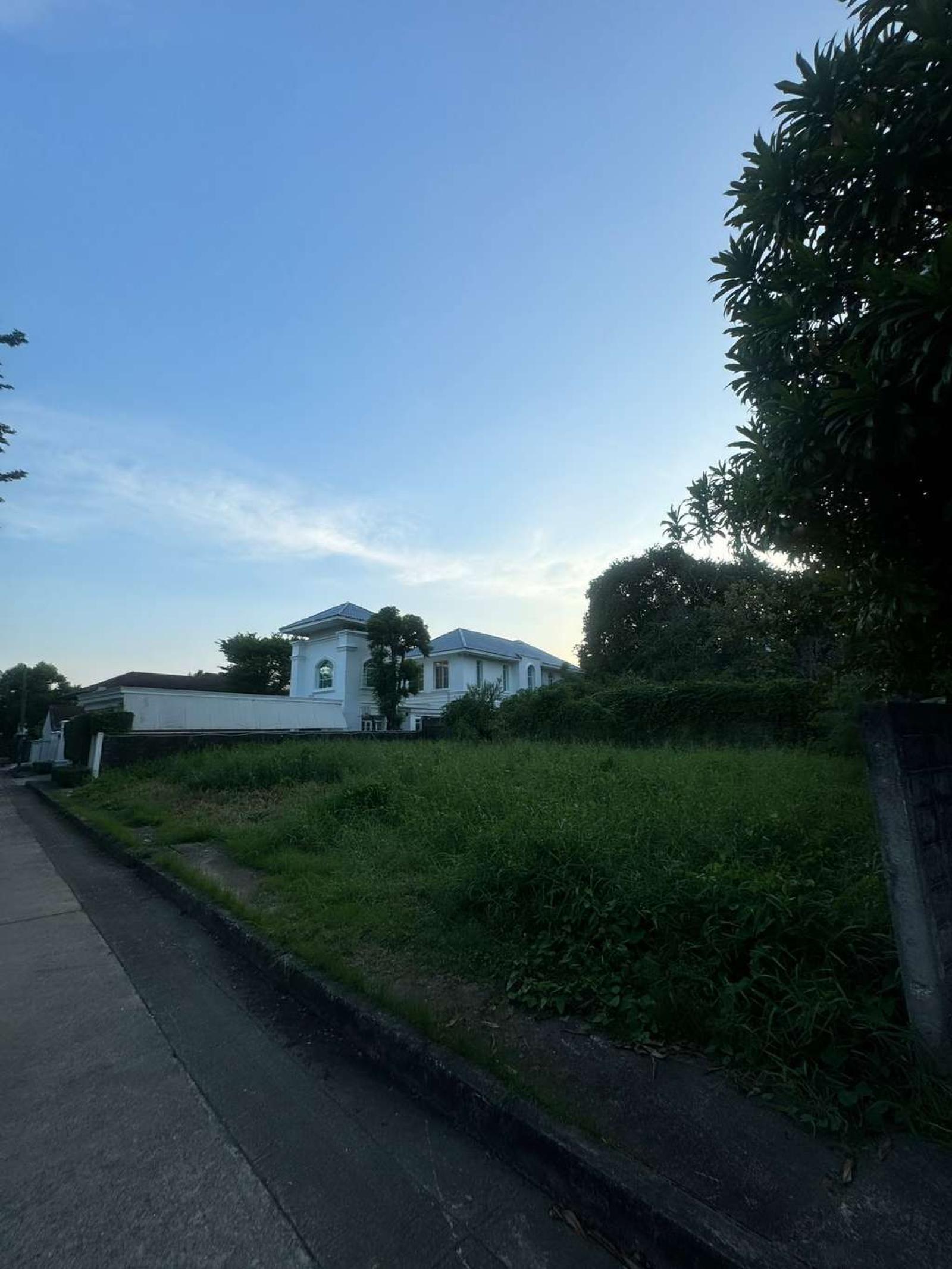 ที่ดิน ปัญญา พัฒนาการ / 297 ตร.วา (ขาย), Land Panya Village Pattanakarn / 297 Square Wa (FOR SALE) FAS054