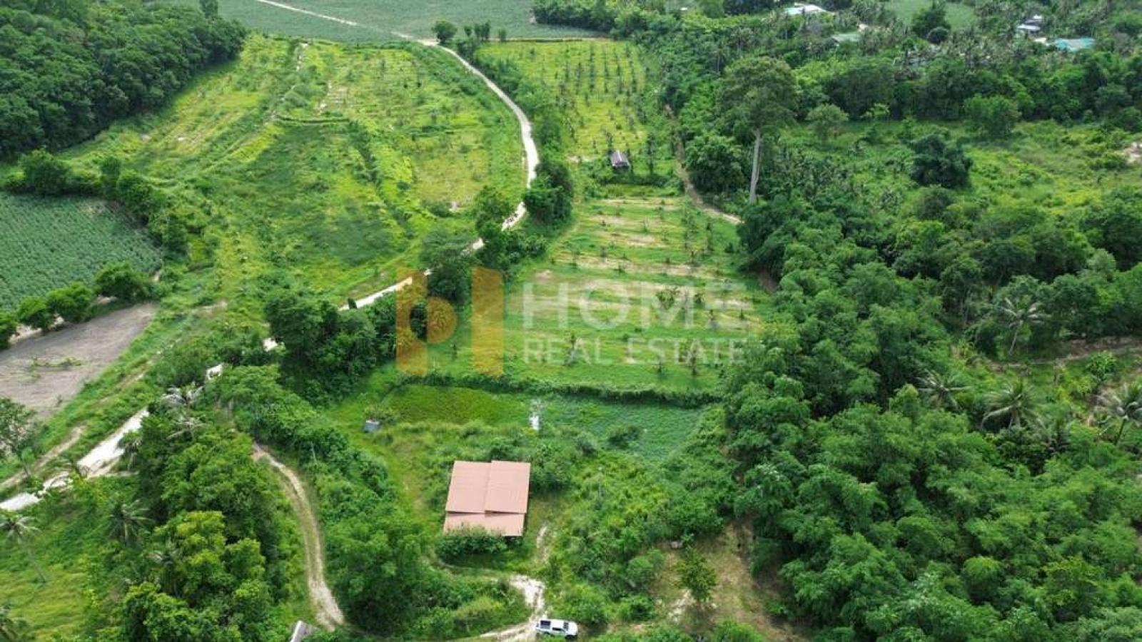 ที่่ดิน 78 ไร่ เขาเขียว บางพระ / 78 ไร่ (ให้เช่า), 78 rai of land in Khao Khiao, Bang Phra. / 0 Square Wa (FOR RENT) YEAN251