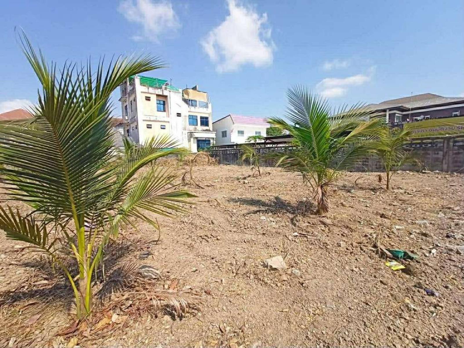 หมู่บ้านนภาลัย / 232 ตร.วา (ขาย), Naphalai Village / 232 Square Wa (FOR SALE) PSRN011